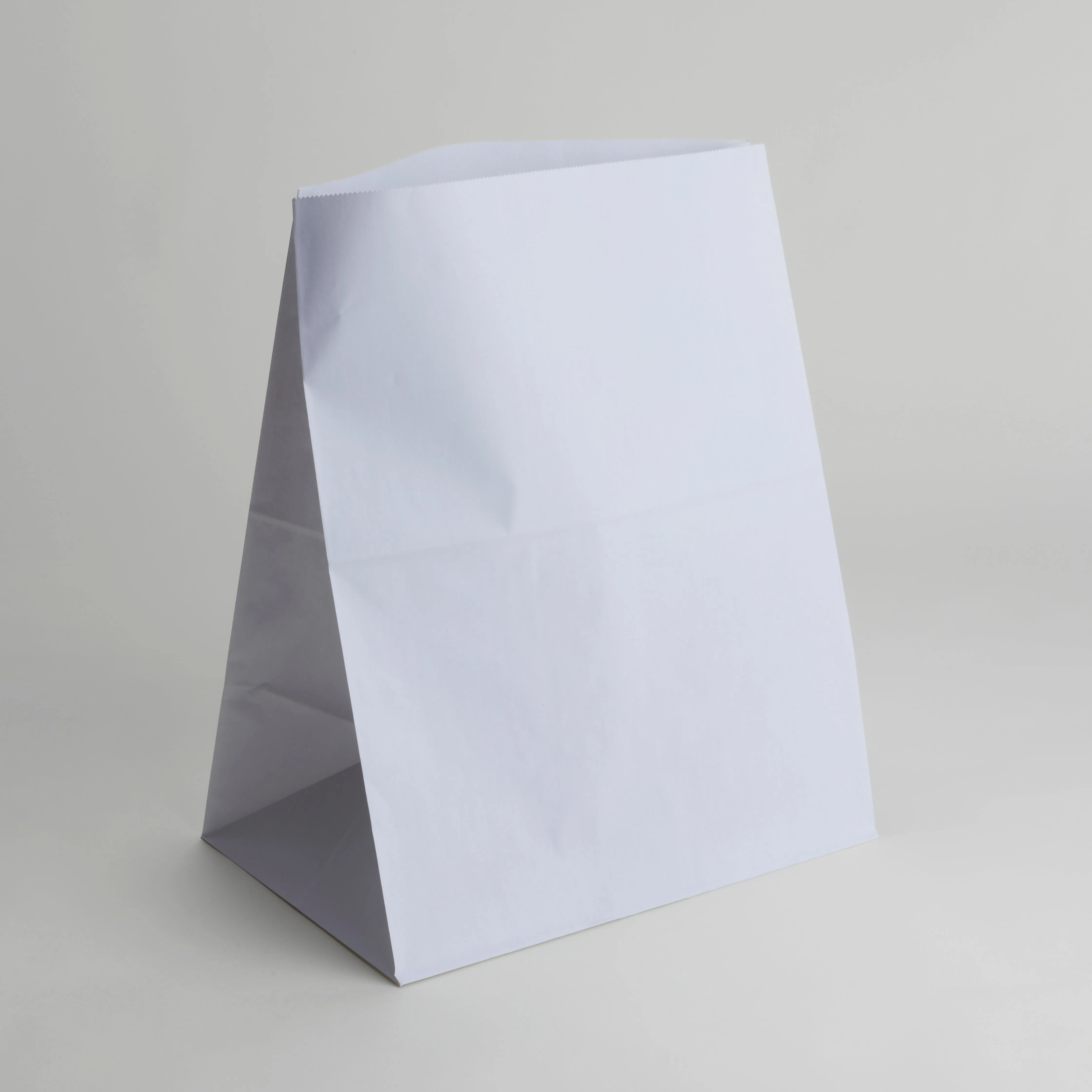 Large White Block Bottom Paper Bags x100